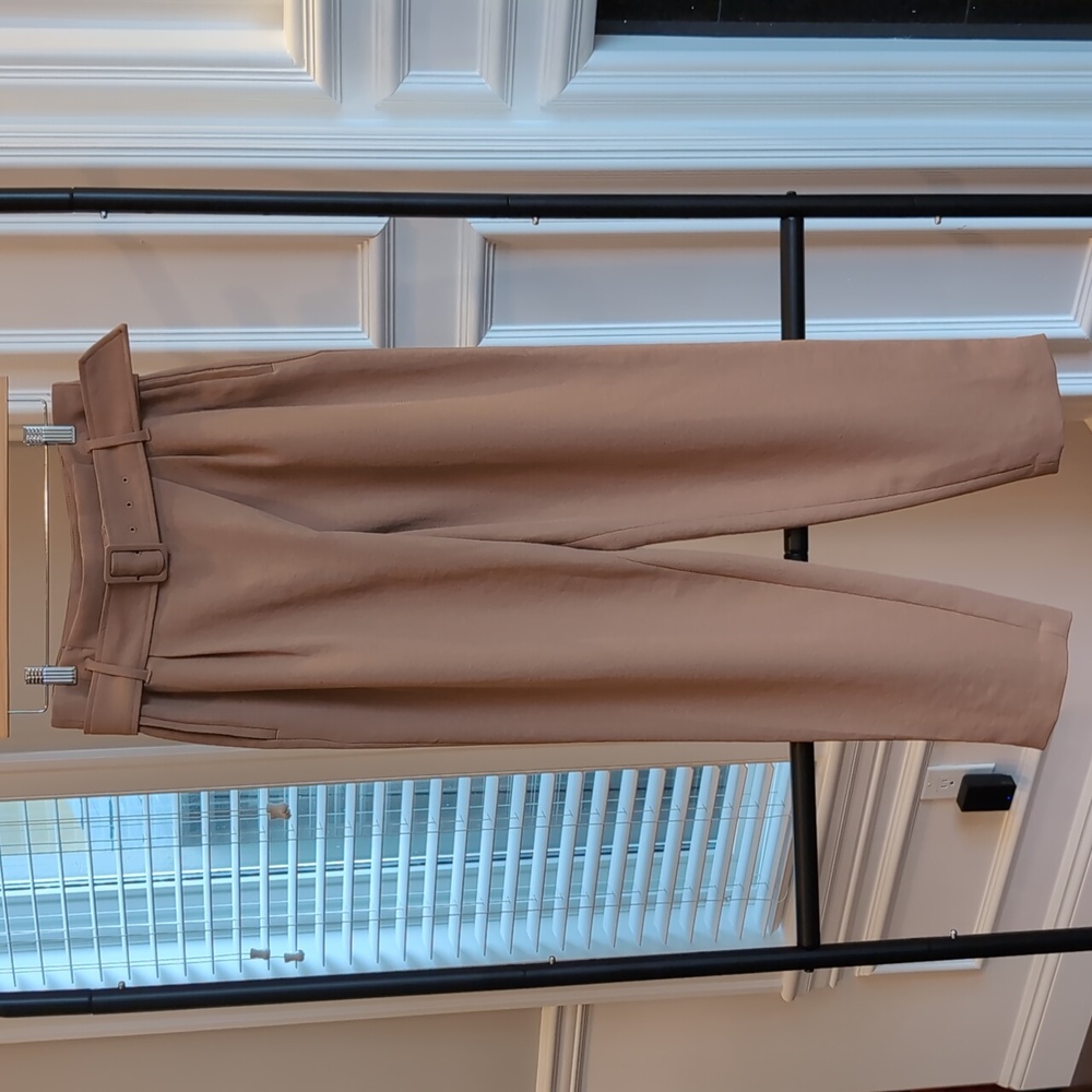 Wilfred Pleated Pants - Medium